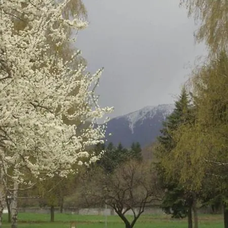 Priroda Dolna Banya